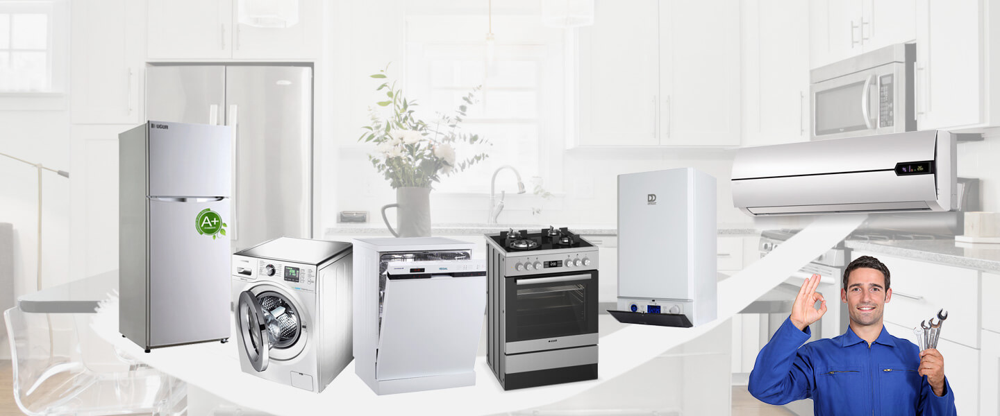 Dicle Grundig Servisi